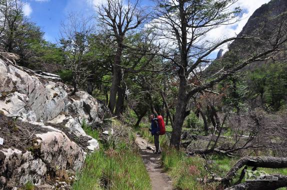 Caminhando na trilha do glaciar Grey, no parque nacional Torres del Paine, no sul do Chile